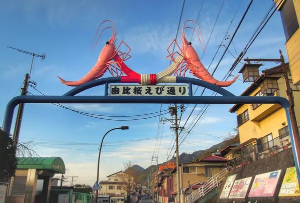 東海道由比宿おもしろ宿場館の写真・動画_image_80896