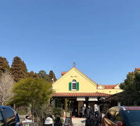 ガトー・プーリアの写真・動画_image_809662