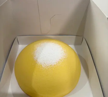 ガトー・プーリアの写真・動画_image_809663