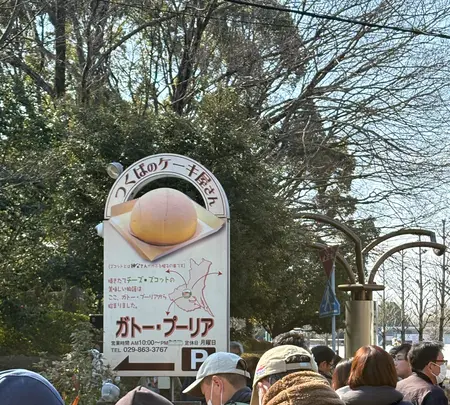 ガトー・プーリアの写真・動画_image_809664