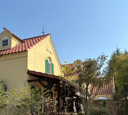 ガトー・プーリアの写真・動画_image_809667