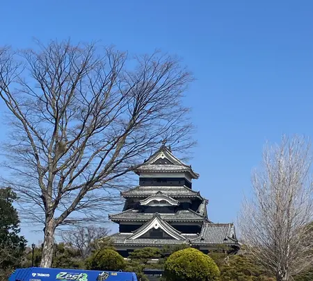 松本駅の写真・動画_image_809959