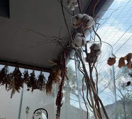 FLOTOの写真・動画_image_810204