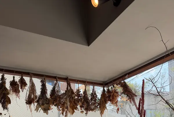 FLOTOの写真・動画_image_810205