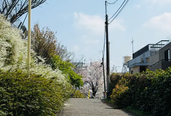 参宮橋公園の写真・動画_image_810207