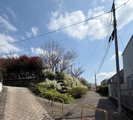 参宮橋公園の写真・動画_image_810208