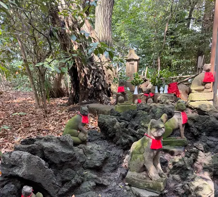 代々木八幡宮の写真・動画_image_810212