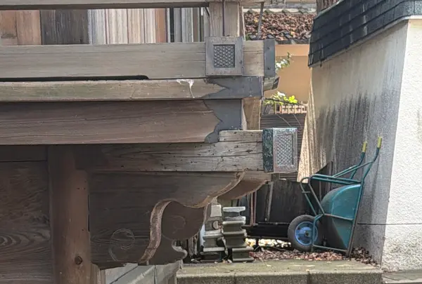 代々木八幡宮の写真・動画_image_810213