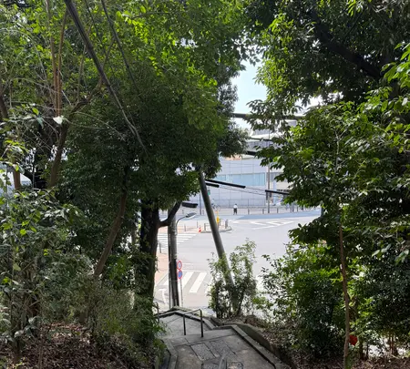 代々木八幡宮の写真・動画_image_810214