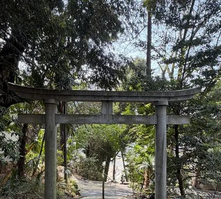 代々木八幡宮の写真・動画_image_810215