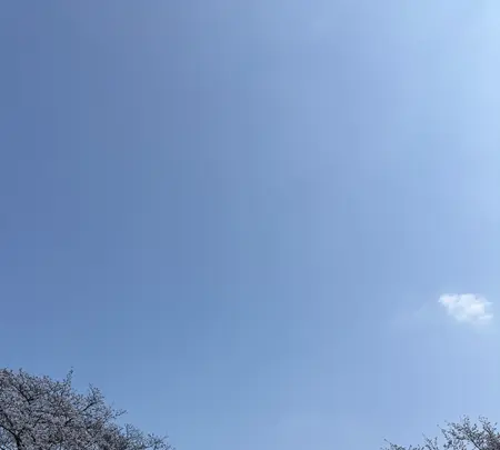 代々木公園の写真・動画_image_810217