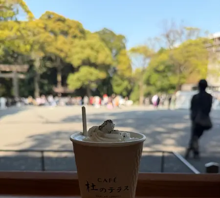 CAFE 杜のテラス 明治神宮文化館の写真・動画_image_810221