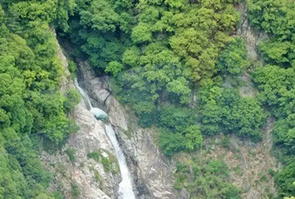 神戸布引ハーブ園/ロープウェイの写真・動画_image_81046