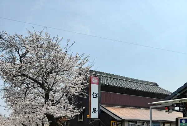 金銀花酒造(株)の写真・動画_image_810593