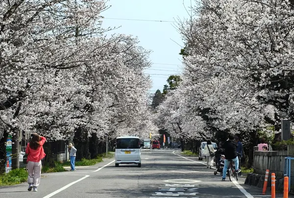 金銀花酒造(株)の写真・動画_image_810594