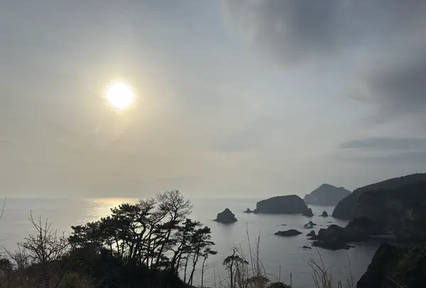 あいあい岬の写真・動画_image_810979