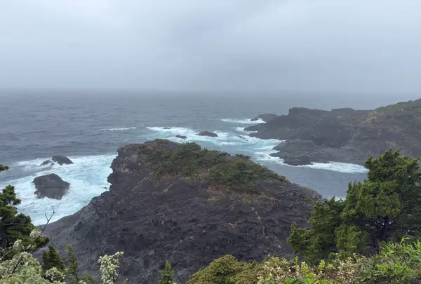 石廊崎 熊野神社の写真・動画_image_810985