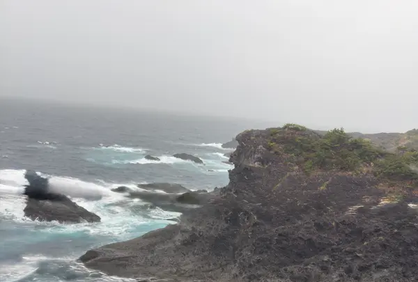 石廊崎 熊野神社の写真・動画_image_810987