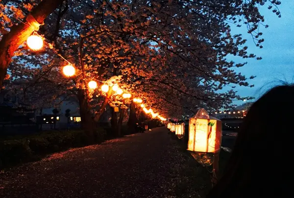 朝霞市役所 産業文化センターの写真・動画_image_81099