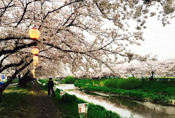 朝霞市役所 産業文化センターの写真・動画_image_81100