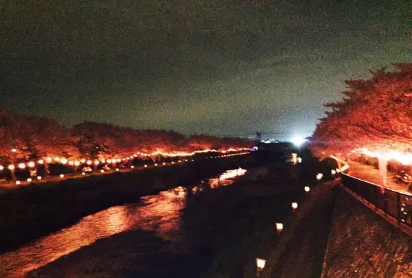 朝霞市役所 産業文化センターの写真・動画_image_81109