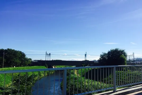 朝霞市役所 産業文化センターの写真・動画_image_81142