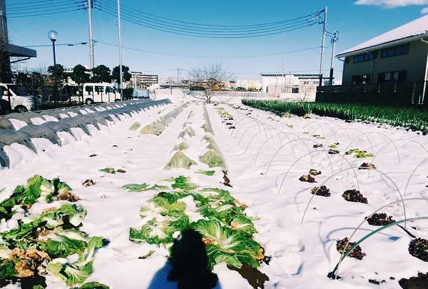 朝霞市役所 産業文化センターの写真・動画_image_81148