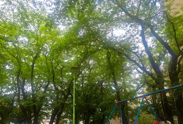 南割公園の写真・動画_image_81179