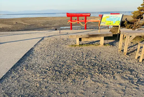 海中鳥居の写真・動画_image_811917