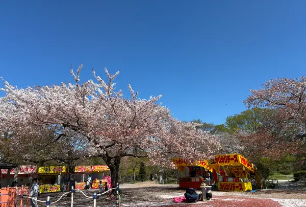 松ヶ岡公園の写真・動画_image_811931