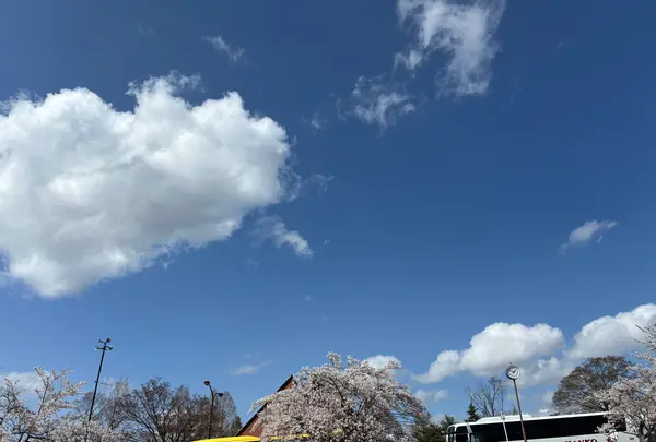 三春町運動公園の写真・動画_image_811950