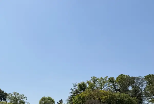 井の頭恩賜公園の写真・動画_image_812157