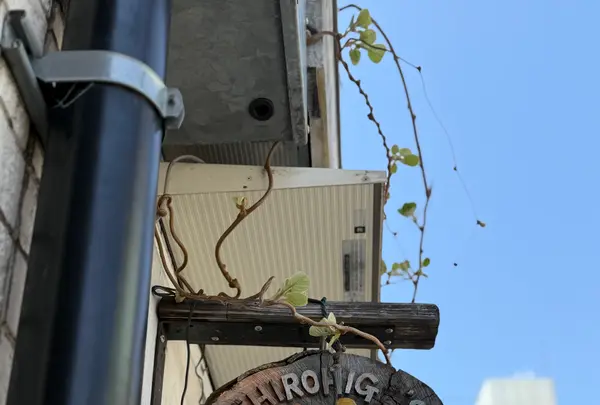 白髭のシュークリーム工房 吉祥寺店の写真・動画_image_812159