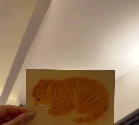 mooon shopの写真・動画_image_812166