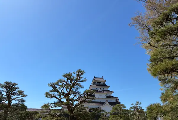 鶴ヶ城（若松城）の写真・動画_image_812295