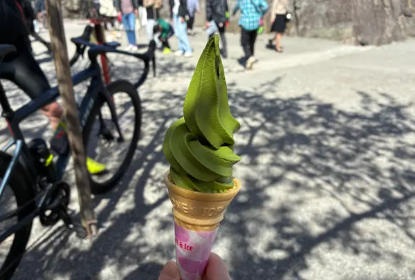 鶴ヶ城（若松城）の写真・動画_image_812307