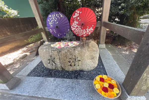 彌都加伎神社の写真・動画_image_812448