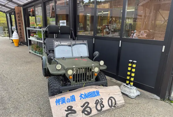 さるびの　大山田温泉の写真・動画_image_812453