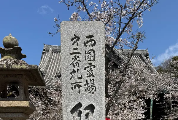 紀三井寺の写真・動画_image_812590