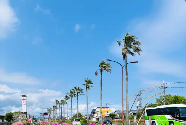 日本庭園 日向景修園の写真・動画_image_812910