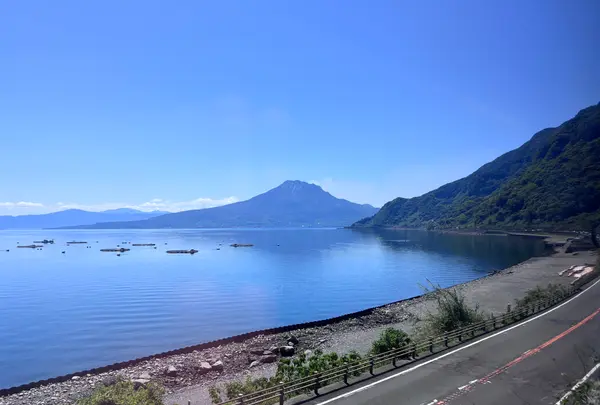 宮崎駅の写真・動画_image_812938
