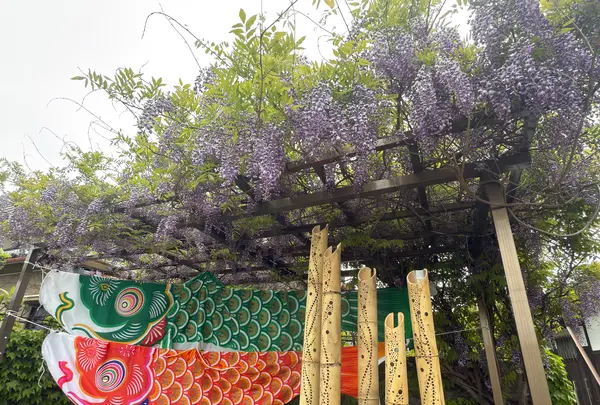 泉南石綿の碑の写真・動画_image_813387