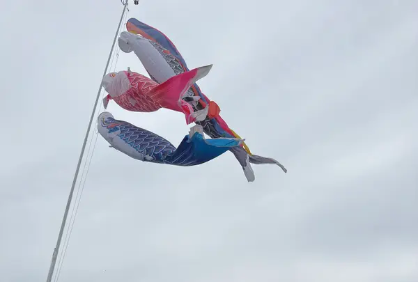 泉南石綿の碑の写真・動画_image_813388