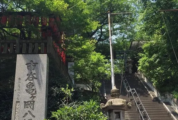 市谷亀岡八幡宮の写真・動画_image_81406