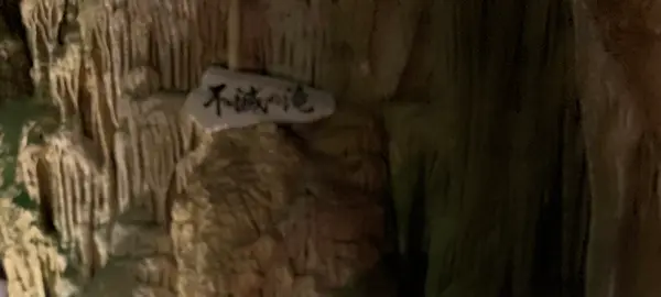 あぶくま洞の写真・動画_image_814375