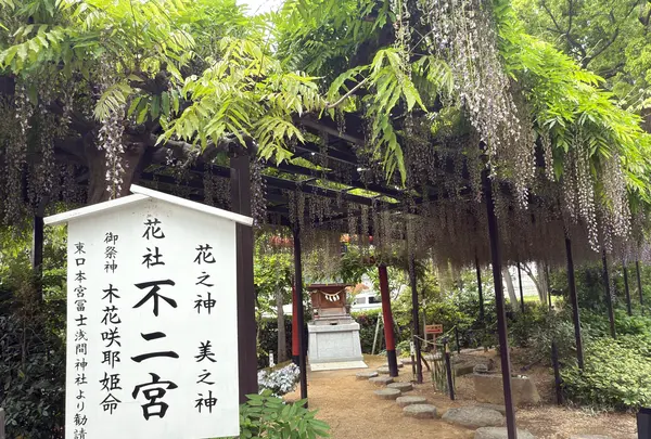 奈加美神社の写真・動画_image_814858