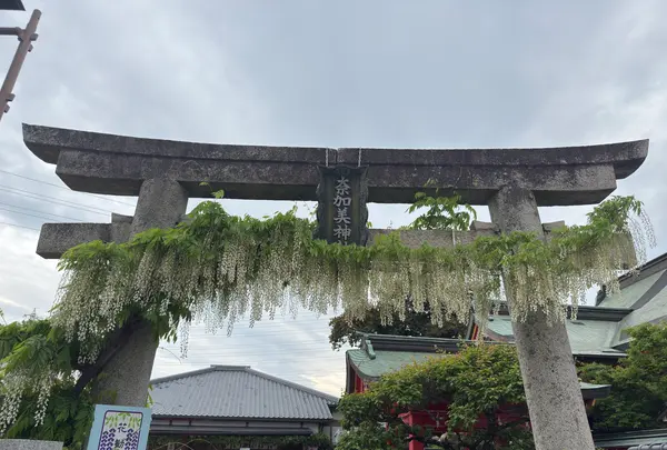 奈加美神社の写真・動画_image_814860