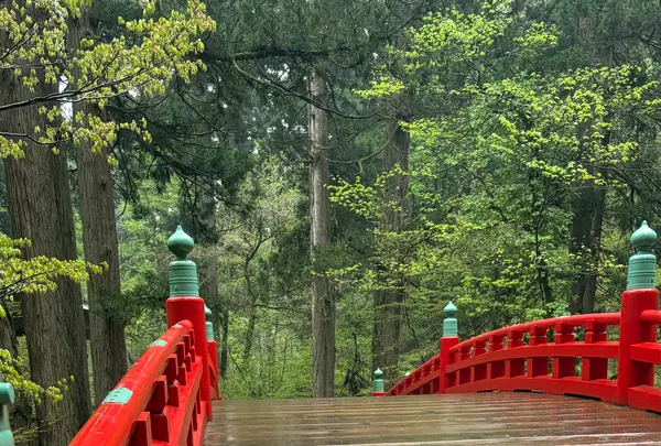 羽黒山五重塔の写真・動画_image_814992