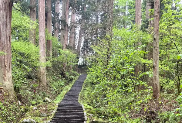 羽黒山五重塔の写真・動画_image_814993