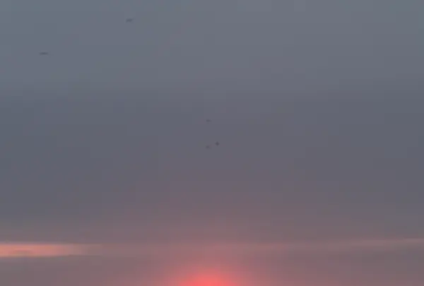 海辺のお宿 一久（一久旅館）の写真・動画_image_815312